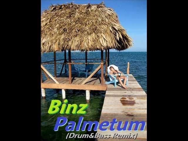 Binz - Palmetum (Balearic Drum & Bass Remix)