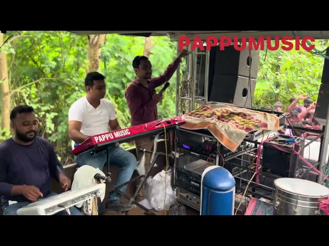 Dholi bharvadu desi original song pappumusic orchestra