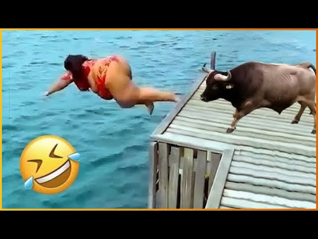 Crazy Funniest Videos Ever In The World | Try Not To Laugh Challenge | Laugh Till You Cry (Pt2)