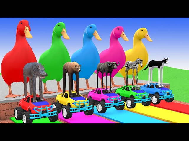 5 Giant Duck game,Cow,Elephant,Tiger,Lion,Dinosaur,Paint Wild Animals Crossing Fountain Animation