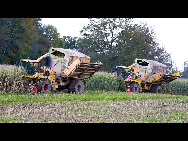 Ensilage avec 2 MACHINES ANCESTRALES ! New Holland FX à caisson | 2024