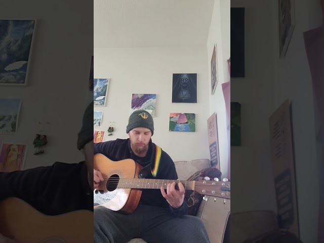 An Acoustic Melody #acousticguitar #guitar #music #youtubeshorts