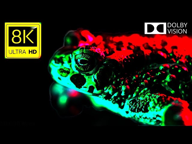 8K HDR * Rich Black * Dolby Vision