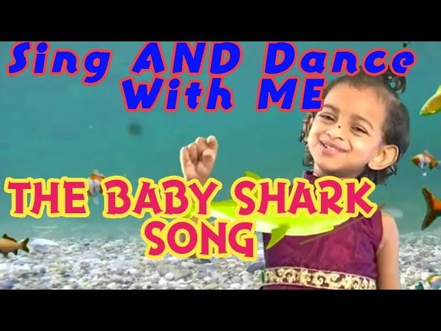 Baby Shark Sing and Dance Challenge By Haiza | Kids Songs