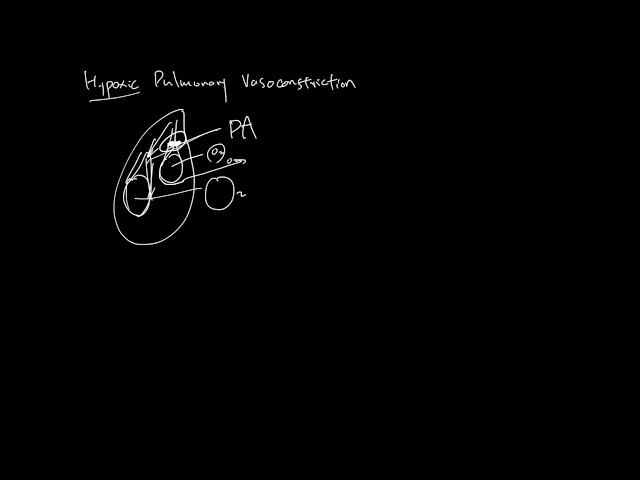 Hypoxic Pulmonary Vasoconstriction