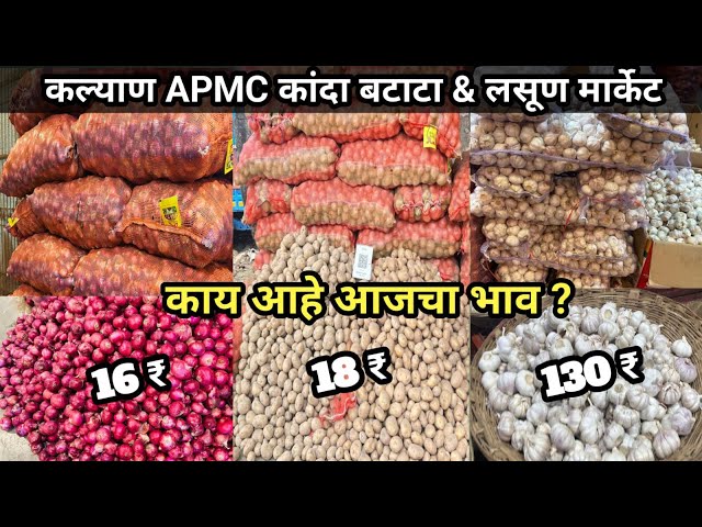 Mumbai Wholesale Kanda Batata Market | Lahsun Price Today | Wholesale Market In Mumbai