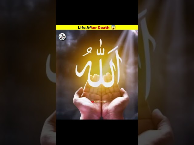 Life After Death ☠️😱#shorts #viralvideos #trending #death #islamic #ytshorts #facts