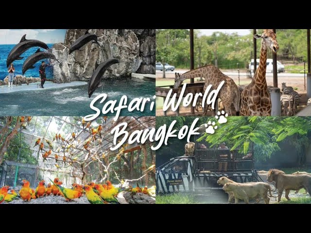 Safari World Bangkok || Thailand famous Zoo  #viralvideo