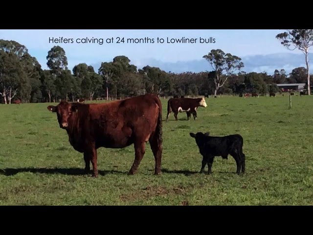 Trevor Caithness - Building soil fertility for pasture production