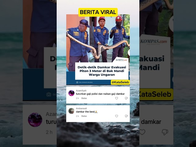 Mending Naikan gaji damkar dari pda polisi 😆 #shorts #beritaterkini #masukberanda #viralvideo #news