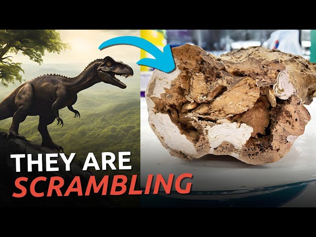 Dinosaur Fossil Discovery DESTROYS Evolutionary Timeline