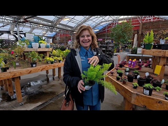 I Found a Cinnamon Tree! 🙌 Spur of the Moment Plant & Antique Shopping Trip with Mom! 💚