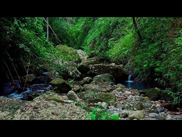 Fall Asleep Deeply with Tranquil River Sounds | sleep - relax - enjoy life - ASMR