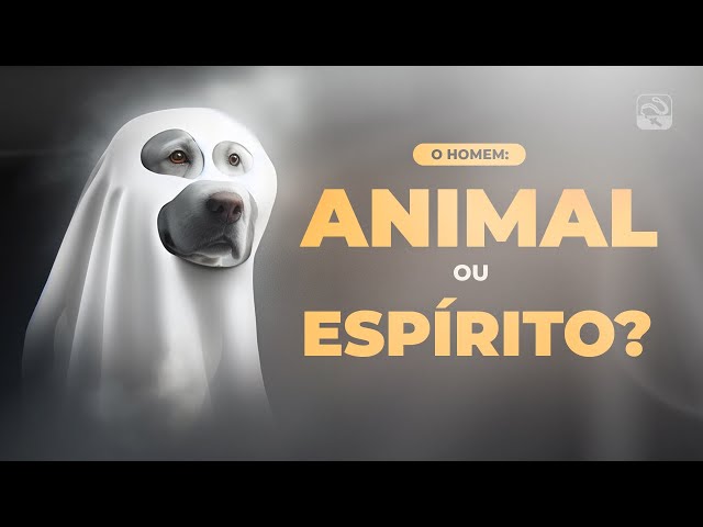 O Homem: Animal ou Espírito? | A Fé Explicada #8