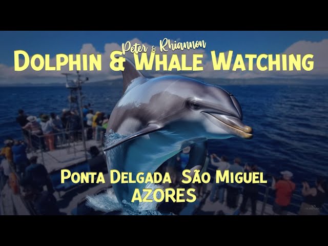 Futurismo - Whales & Dolphins - Sao Miguel Azores