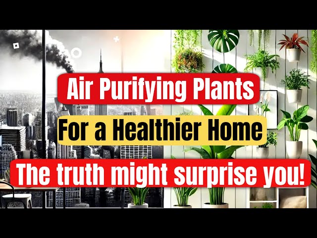 10 Best Air Purifying Plants