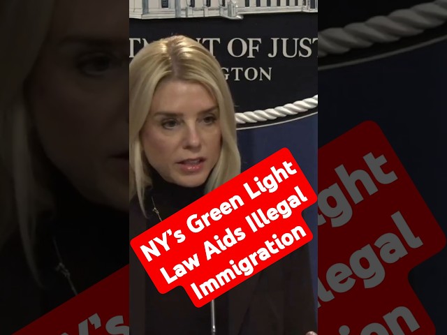 Lawsuit: NY’s Green Light Law Aids Illegal Immigration