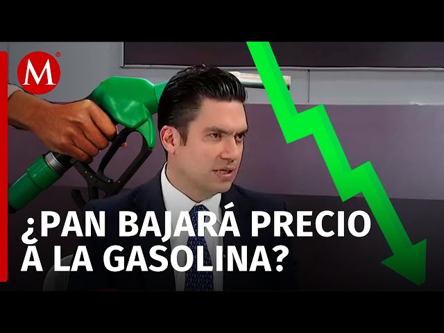 PAN propone reducción de 50% de IEPS a la gasolina; "es para el bien de las familias": Jorge Romero