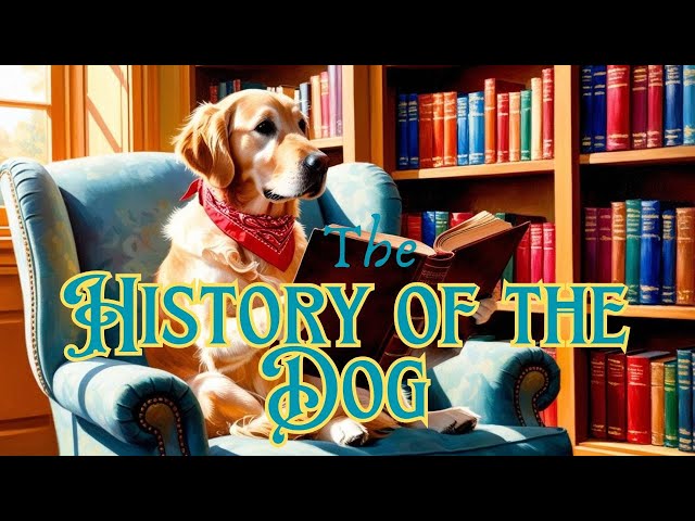 From Wolf to Best Friend: The Incredible History of Dogs