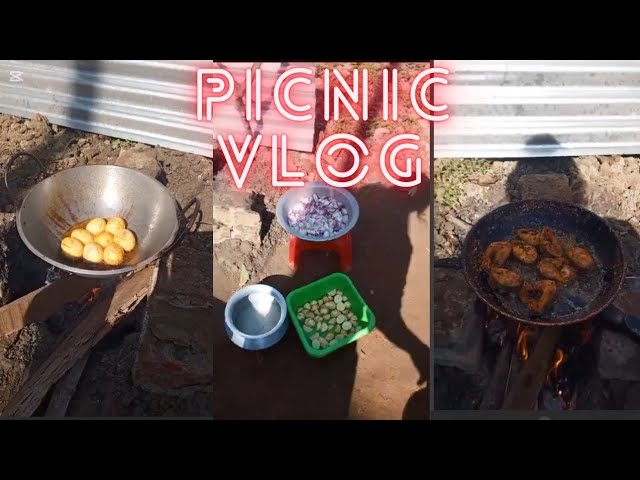 Picnic Vlog #03