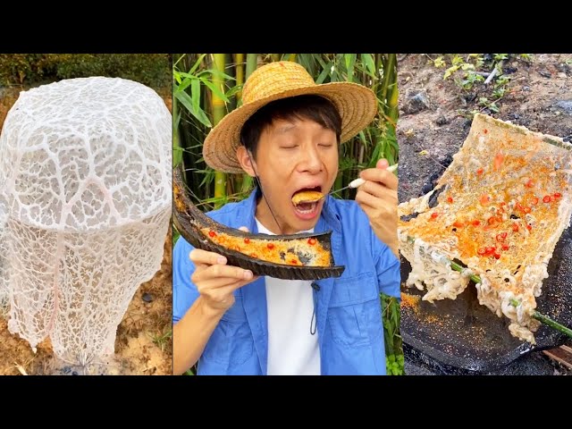 Can spider webs be eaten?|Chinese Mountain Forest Life and Food #Moo TikTok#FYP