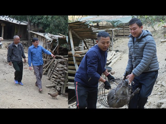 Robert sold a lot of pigs to prepare for the wedding. Green forest life