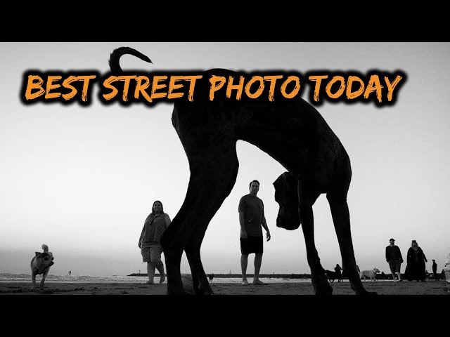 TOP 10 Street Photography of the Day (Ep 228)