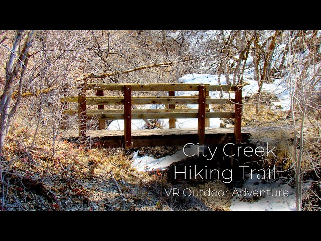 City Creek Hiking Trail (Winter) | Relaxing VR Hike with Lofi Beat