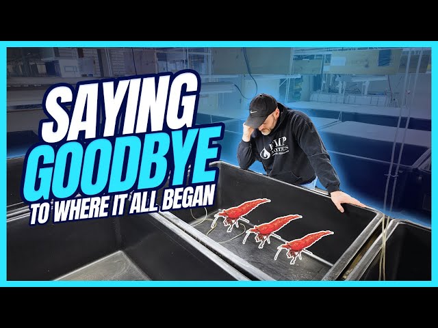 Saying Goodbye | The LAST Fish Room Tour of Flip Aquatics