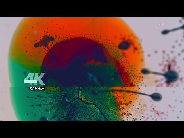 Canal+ 4K Ultra HD - Bufor [wersja online]