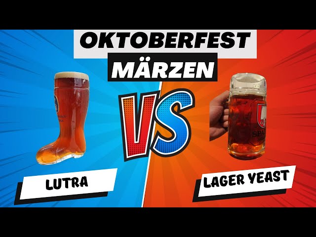 LUTRA Kveik vs a TRUE LAGER | Märzen Oktoberfest Split Batch