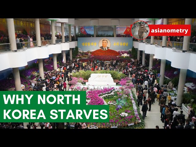 Why North Korea Starves