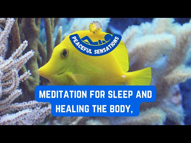 meditation daily calm music, 10 Hours calm Music with Beautiful Aquarium 4k, meditation to relax