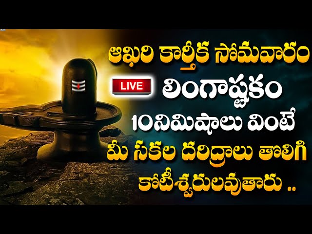 LIVE: కార్తీక సోమవారం లింగాష్టకం వింటే మీ డబ్బు సమస్యలు తీరిపోతాయ| Lingashtakam | Karthika Somawaram