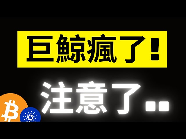 比特幣來到102000關鍵! Coinbase Prime巨鯨流入14B天量現金..注意了! ADA 1.2爆發邊緣.. XRP下個目標在哪!? #eth #ada #xrp