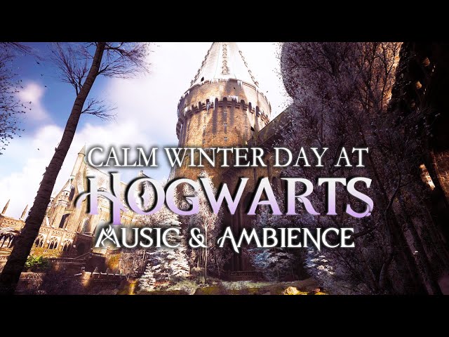 Hogwarts Winter Morning Music | Calming Harry Potter Music & Cozy Winter Ambience #relax #study