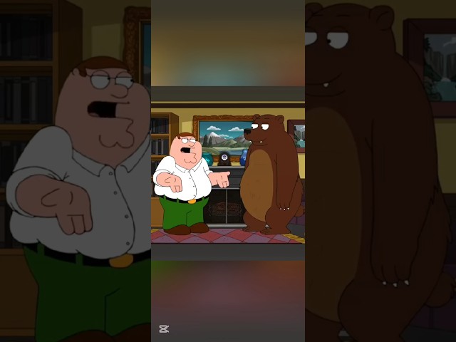 Peter's Bear B&B app experience