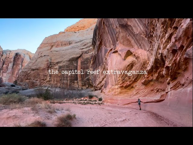 Capitol Reef National Park, Utah, USA | The Capitol Reef Extravaganza