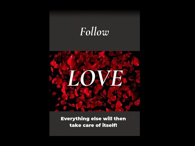 FOLLOW LOVE! Link in the description!          #follow #love #valentinesday #fashion #sale #thankyou