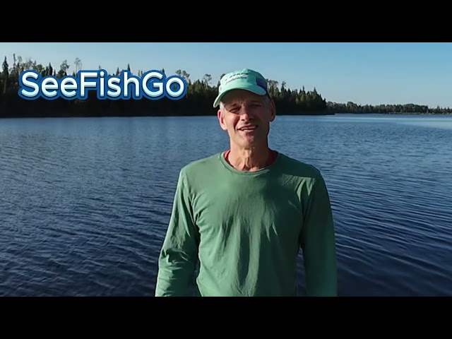 Intro to SeeFishGo