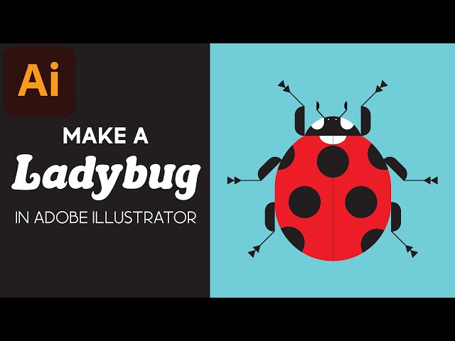 HOW TO MAKE A LADY BEETLE IN ADOBE ILLUSTRATOR