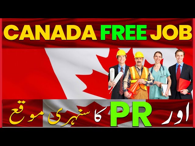 How To Apply For Canada PR | Jobs In Canada | Canada Work Visa | Nile Consultant