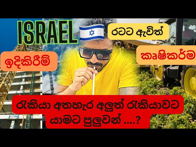 Changing jobs in isreal|ඊශ්‍රාලයේ රැකියාව වෙනස් කිරිම|#srilanka| #jobs#agriculture |#construction