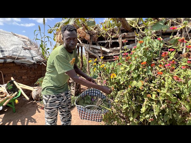 Tour of Hawa’s Homestead before Design, South Kordofan, Sudan October 2022