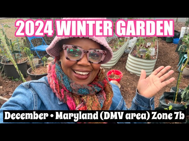 REALISTIC DECEMBER DAY Maryland (DMV area) Zone 7b | 2024 Winter Garden #gardening