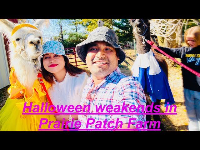 Halloween weekends in Prairie Patch Farm in USA|Hunted room ka maza lijiye🧿