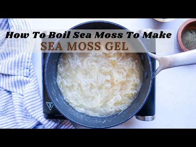 How To Boil Sea Moss To Make Sea Moss Gel (AND Infuse it with Superfoods!)