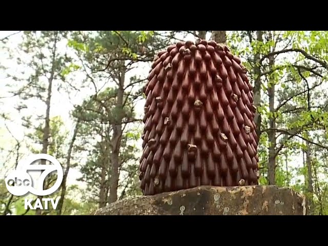 Hikers protesting new 'Beetlejuice'-like sculptures in Pinnacle Mountain State Park