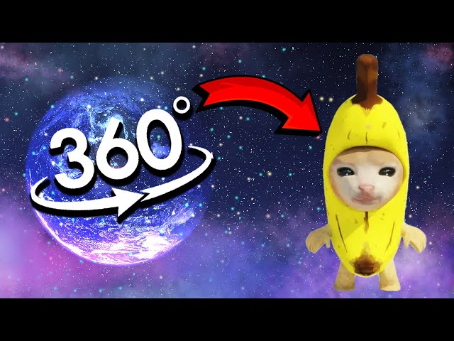 FIND BANANA CAT | Banana Cat Finding Challenge 360º VR Video