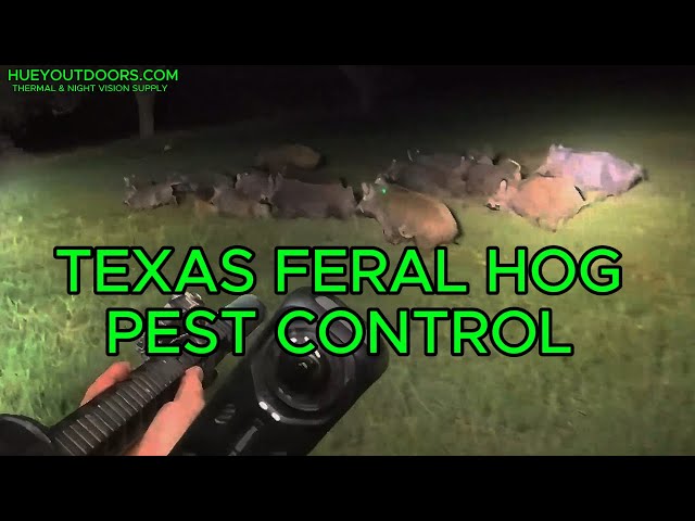 TEXAS EXTREME WILD HOG PEST CONTROL 27 DOWN